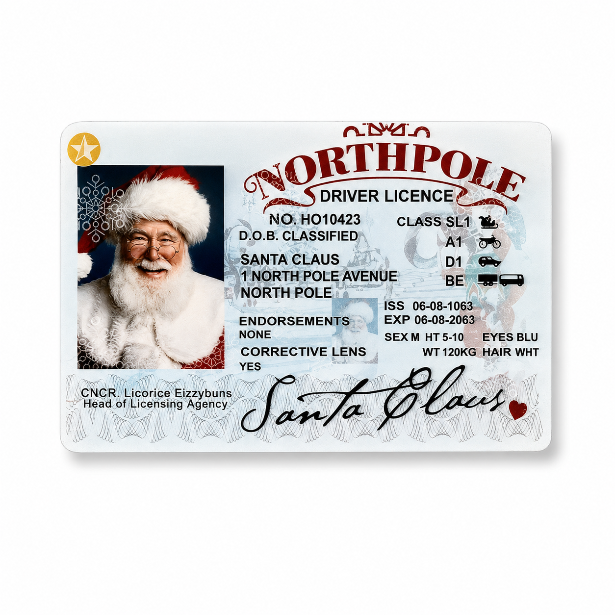 Set of 5 Santa Licenses for Santa Evidence To Be "dropped" and "found"